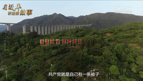 4.gif