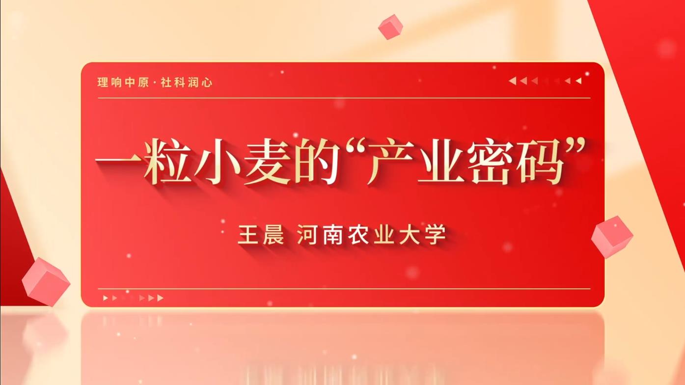 一粒小麦的“产业密码”